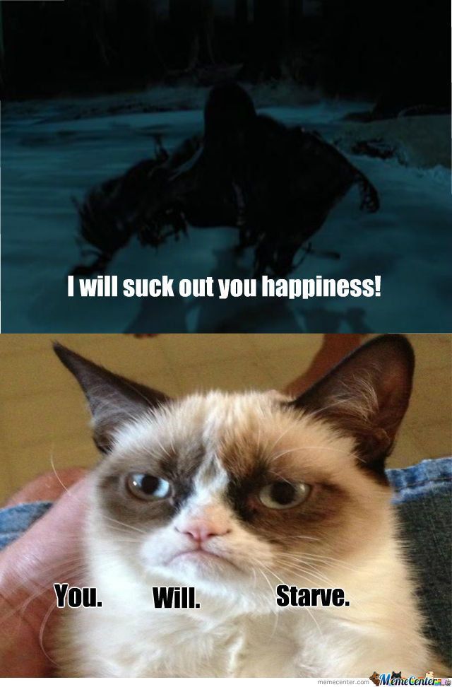 Funny Harry Potter Cat Memes