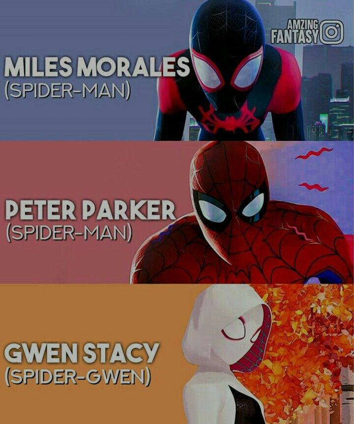 Memes Spiderman Into The Spider Verse